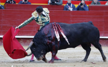 Conformarse con Poco