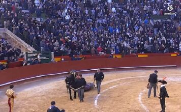 Carteles de las Corridas de Fallas