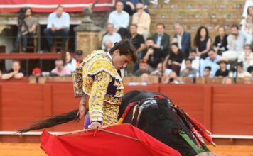 Fuente Ymbro, una Corrida de un Solo Toro
