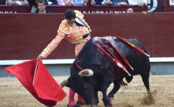 El Palco de Cortes en Corrida de Fallos de Acero