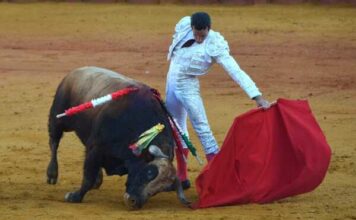 El Palco de Cortes en la Oreja de Hernández en Sevilla