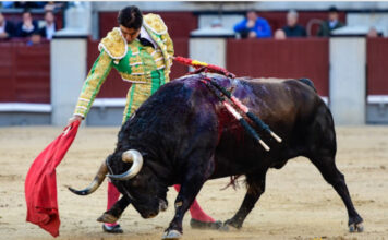 Una Señora Despistada