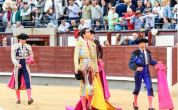 La Ley de la Espada