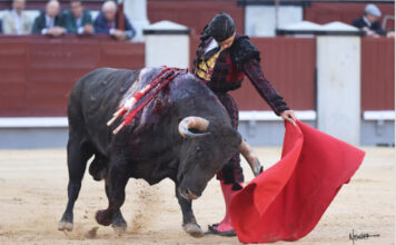 La Fiesta es el Toro