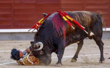 Juan de Castilla, Torero Colombiano con Pantalones