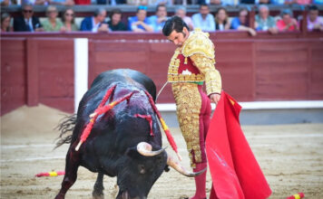 Presidente Escupe Sobre la Historia Viva del Toreo