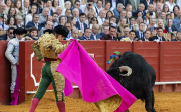 Tercio de Quites