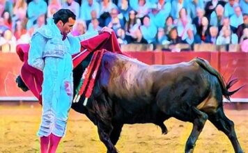 Sevilla: La Consagración de un Sueño, David de Miranda