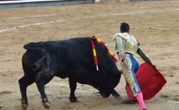 Frailes de la Mansedumbre
