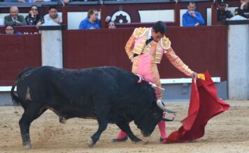 Morenito de Aranda y Forte dejan huella en medio del temporal.