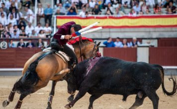 Diego Ventura corta la oreja más cara de su carrera en Las Ventas