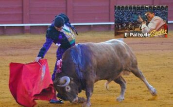 El Palco de Cortes en el Triunfo de Luque y Rufo en Sevilla
