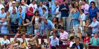 Corrida In Memoriam Madrid: Corazones de Hierro