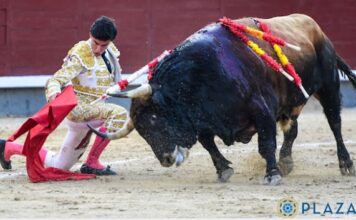 Los Santos la Lloran