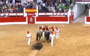 El Toro que Ayuda