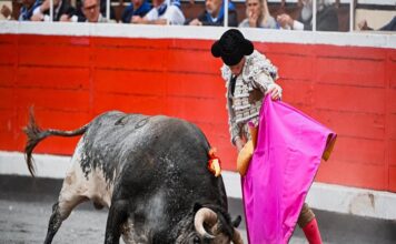 Tapabocas: El Toro que Escribió la Eternidad en Bilbao