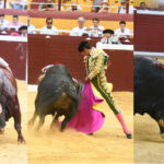 Foto: mundotoro.com