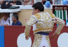 «Lleva tres cornadas»