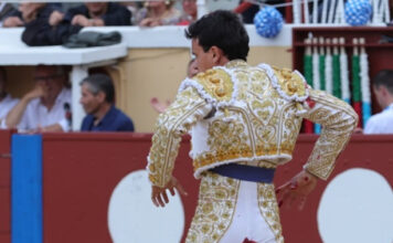 «Lleva tres cornadas»