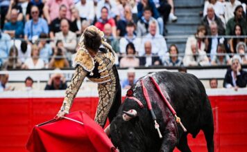 Bilbao: Tarde de la Emoción, Temple y la Entrega