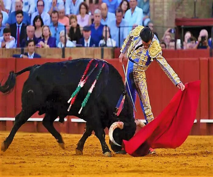 1aSanMiguel-Sevilla-2025