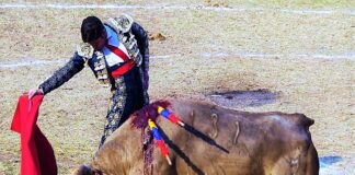 Cristóbal Pardo: El Camino de un Torero en Busca de Grandeza