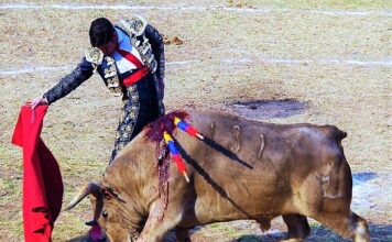 Cristóbal Pardo: El Camino de un Torero en Busca de Grandeza