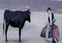 Juan de Castilla: Disciplina y Coraje para Reaparecer en Dax y Madrid