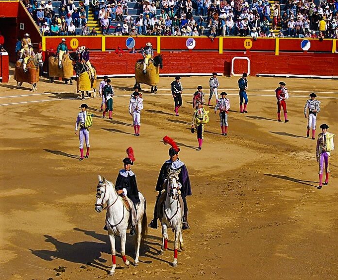 1a-Acho-2025-Novillada-18-10