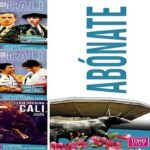 AJ-900X350Cali2025-VAT