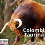 ColombiaTaurinaVAT