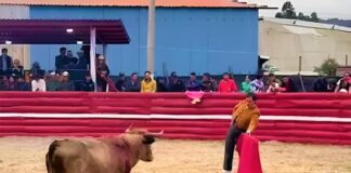 Zipaquirá: Los Toros Viven y Leandro Profundiza