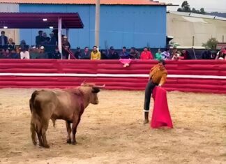 Zipaquirá: Los Toros Viven y Leandro Profundiza