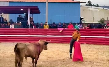 Zipaquirá: Los Toros Viven y Leandro Profundiza