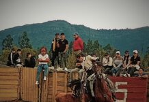 Laura Arandia, Promesa del Rejoneo