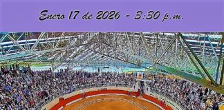 Puente Piedra se Viste de Toros: Bogotá Recupera su Pulso Taurino