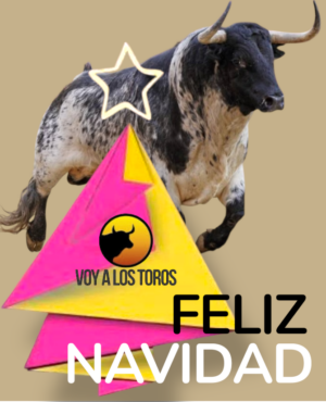 Photoroom_20251122_194622