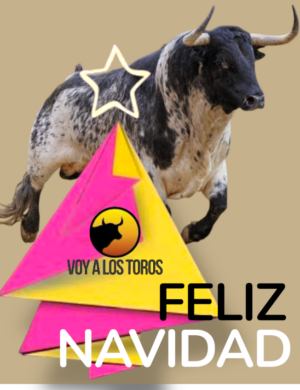 Photoroom_20251122_194622