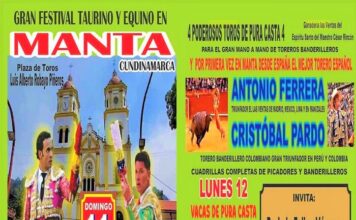 Manta se Prepara Para una Tarde de Arte y Casta Brava