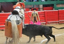 De Reparto en Une: Los de Plata que Honraron la Tarde