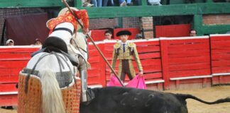 De Reparto en Une: Los de Plata que Honraron la Tarde