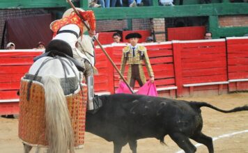 De Reparto en Une: Los de Plata que Honraron la Tarde