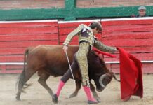 Matices de Bravura y Verdad en Une (Cundinamarca)