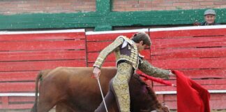 Matices de Bravura y Verdad en Une (Cundinamarca)