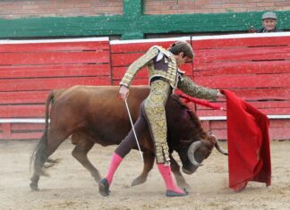 Matices de Bravura y Verdad en Une (Cundinamarca)
