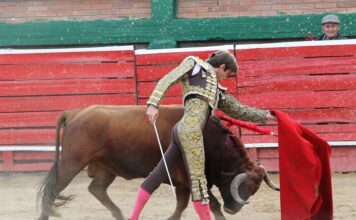 Matices de Bravura y Verdad en Une (Cundinamarca)