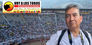 El Palco de Cortés: La Lidia en la Mirada