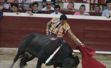 2ª de Cali: Entre la Verdad del Encierro y el Peso del Deber