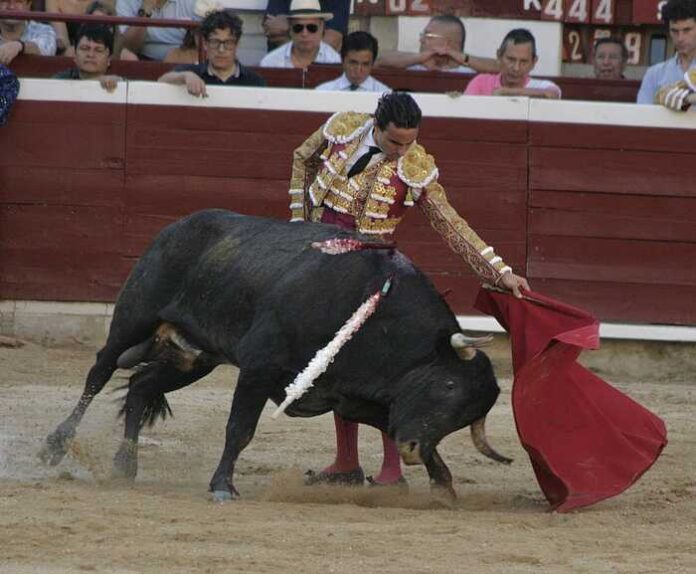 WhatsApp Image 2025-12-27 at 11.26.37 PM (3)