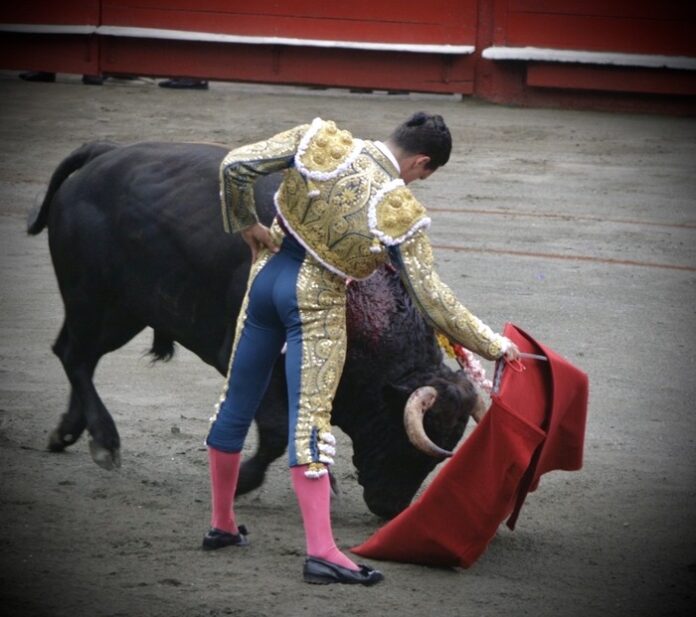 114faeed-dd79-46cd-aaf9-48bed19d2919